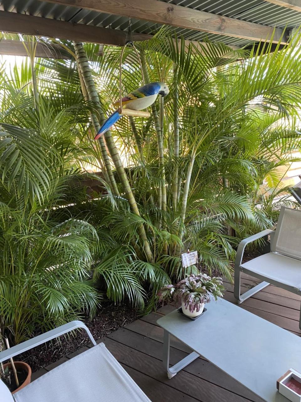 P'Ti Coin Zen Apartman Saint-Gilles-les Bains Kültér fotó